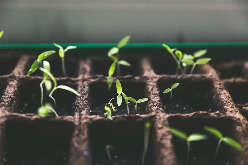 PlantTrade Direct