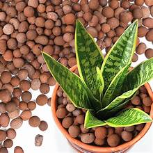 Ekta Eco Clay Pebbles Coarse Grade 15–22mm | Clay Balls for Landscaping & Succulents